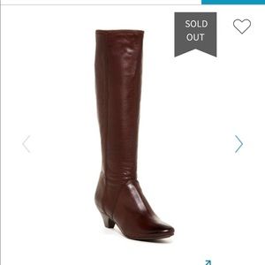 Frye Steffi ZIP Tall boots